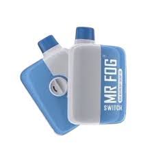 Mr Fog - Switch Disposable E-Cig (5500 Puffs)